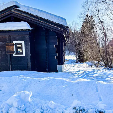 Chalet Snowflake With Garden